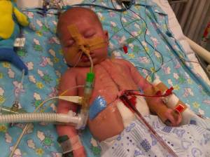 IMG02314-20110331-1408